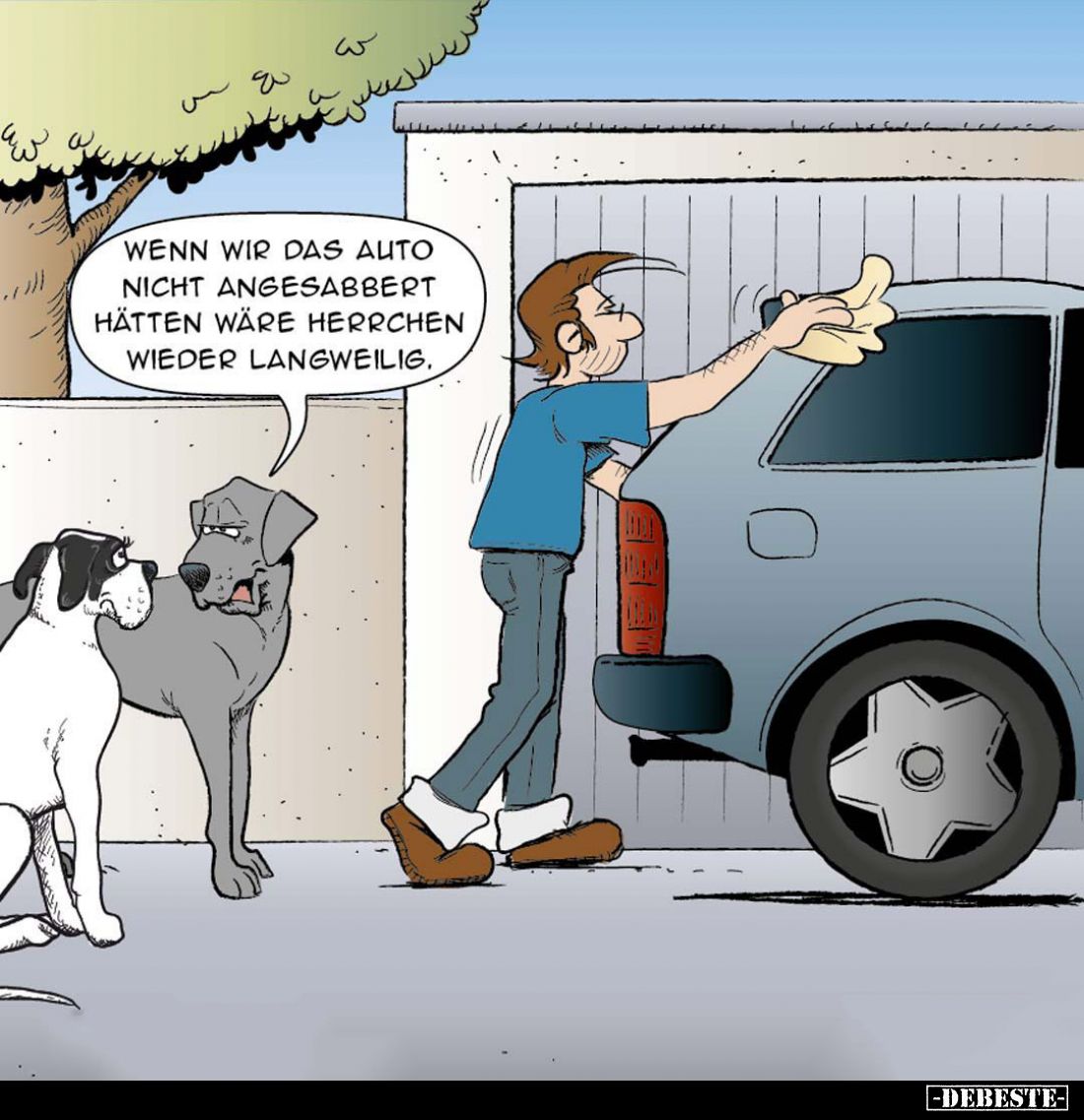 Wenn wir das Auto nicht angesabbert hätten wäre Herrchen wieder langweilig.