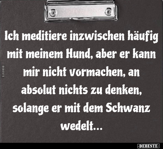 Ich meditiere inzwischen häufig mit meinem Hund, aber.. - Lustige Bilder | DEBESTE.de