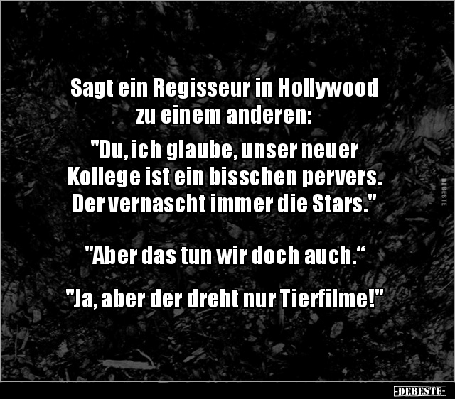 Sagt ein Regisseur in Hollywood zu einem anderen.. - Lustige Bilder | DEBESTE.de