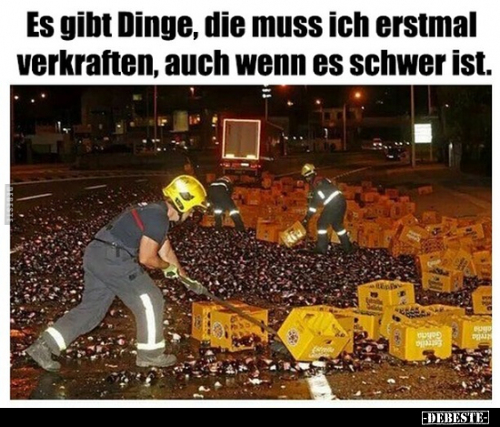 Es gibt Dinge, die muss ich erstmal verkraften, auch wenn.. - Lustige Bilder | DEBESTE.de