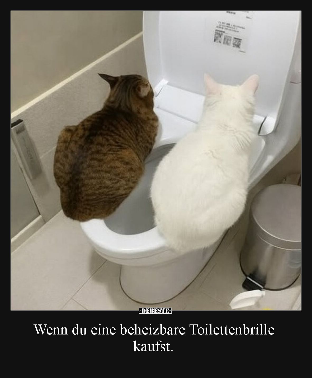Wenn du eine beheizbare Toilettenbrille kaufst.