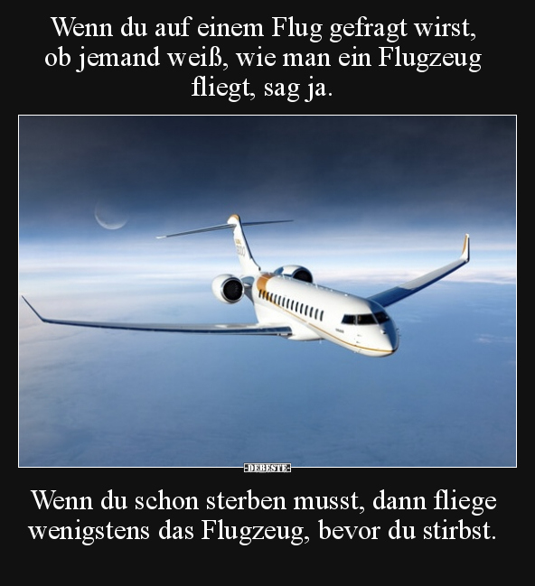 Wenn du auf einem Flug gefragt wirst, ob jemand weiß, wie.. - Lustige Bilder | DEBESTE.de