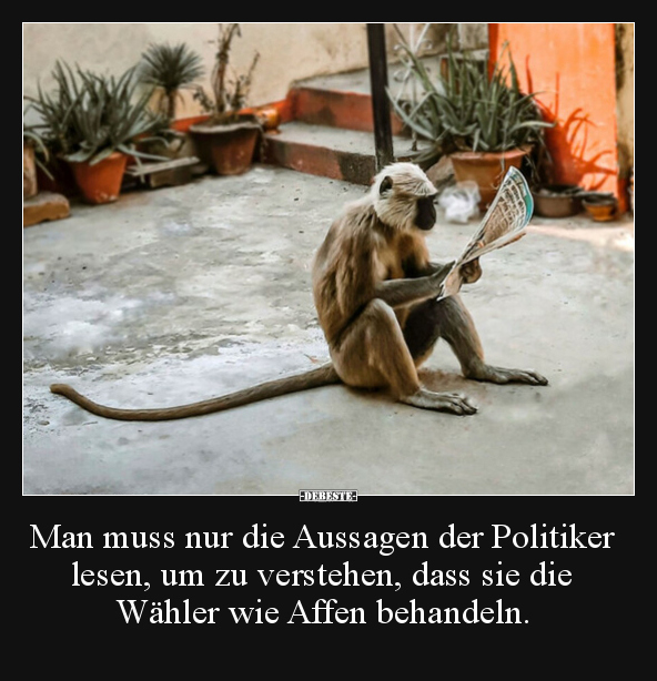 Man muss nur die Aussagen der Politiker lesen, um zu.. - Lustige Bilder | DEBESTE.de