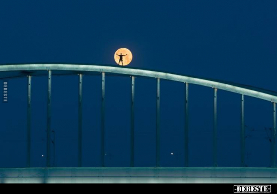  - Lustige Bilder | DEBESTE.de