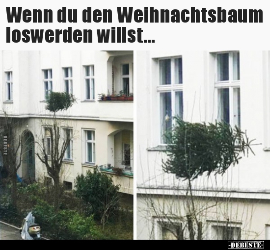 Wenn du den Weihnachtsbaum loswerden willst...