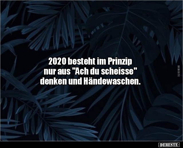 2020 besteht im Prinzip nur aus "Ach du scheisse" denken.. - Lustige Bilder | DEBESTE.de