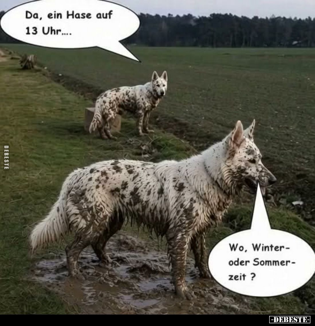Da, ein Hase auf 13 Uhr.... -
Wo, Winter-oder Sommerzeit?