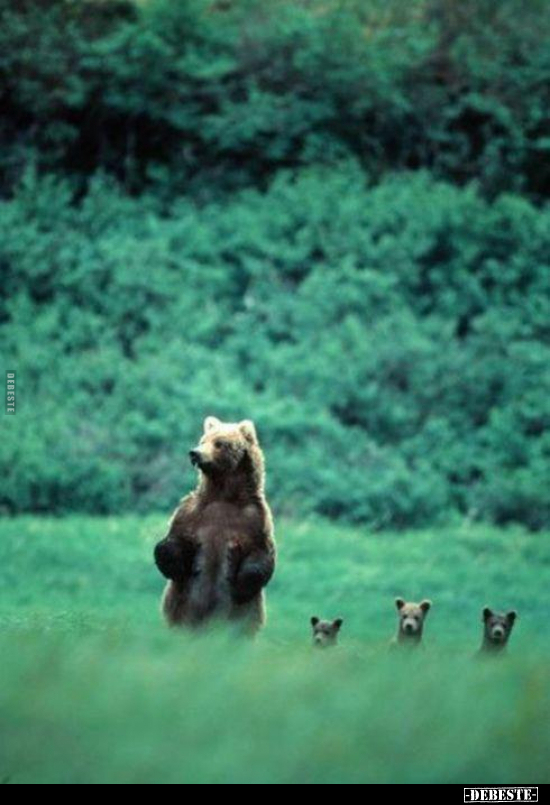  - Lustige Bilder | DEBESTE.de