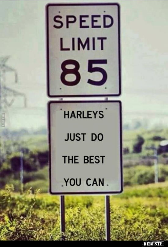  - Lustige Bilder | DEBESTE.de