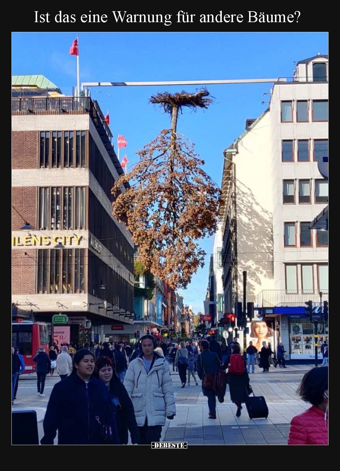 Ist das eine Warnung für andere Bäume?