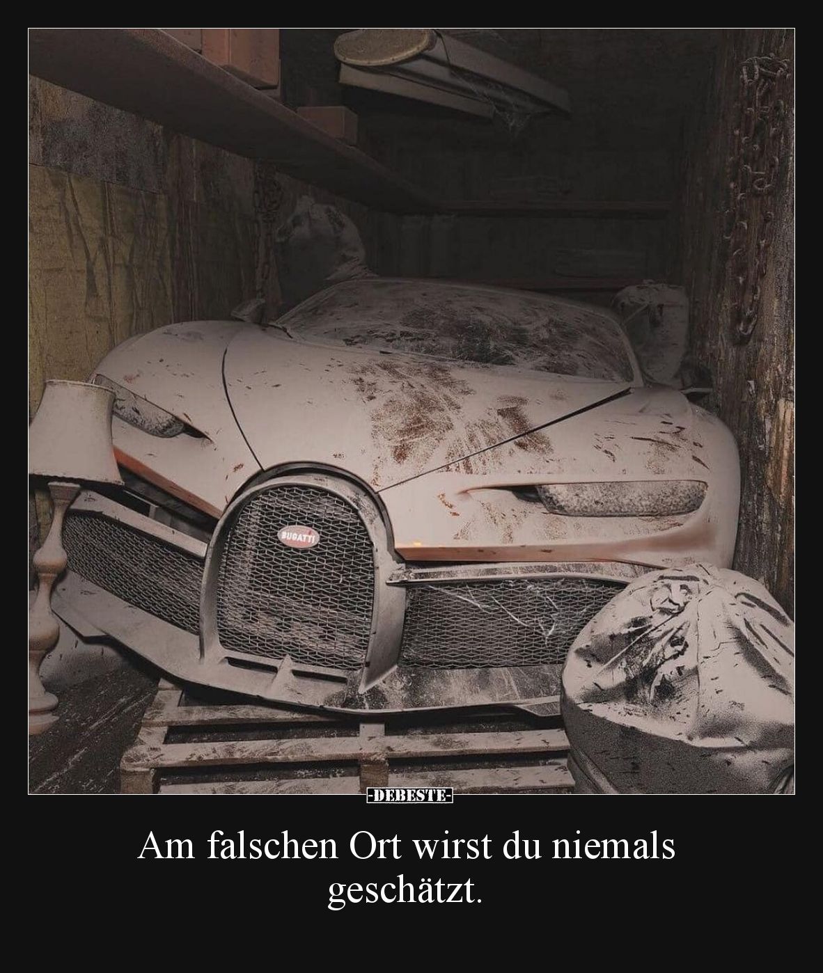 Am falschen Ort wirst du niemals geschätzt... - Lustige Bilder | DEBESTE.de