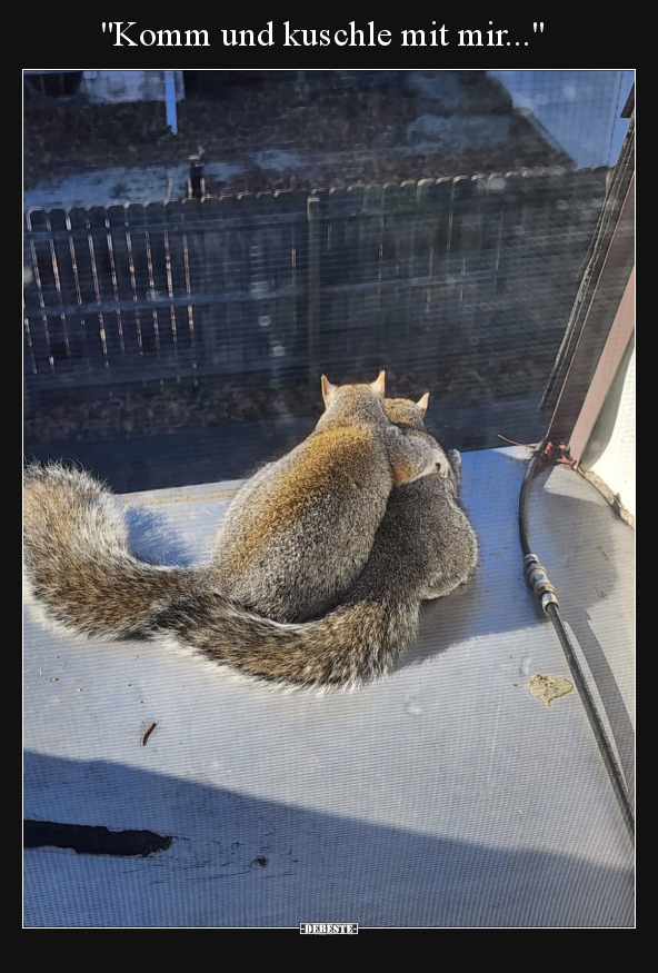 Komm und kuschle mit mir