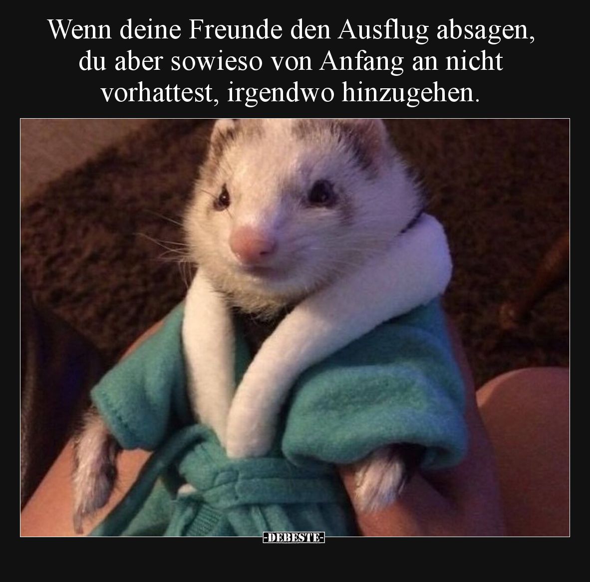 Wenn deine Freunde den Ausflug absagen, du aber sowieso von Anfang an nicht vorhattest, irgendwo hinzugehen.