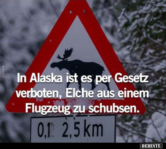 In Alaska ist es per Gesetz verboten, Elche aus.. - Lustige Bilder | DEBESTE.de