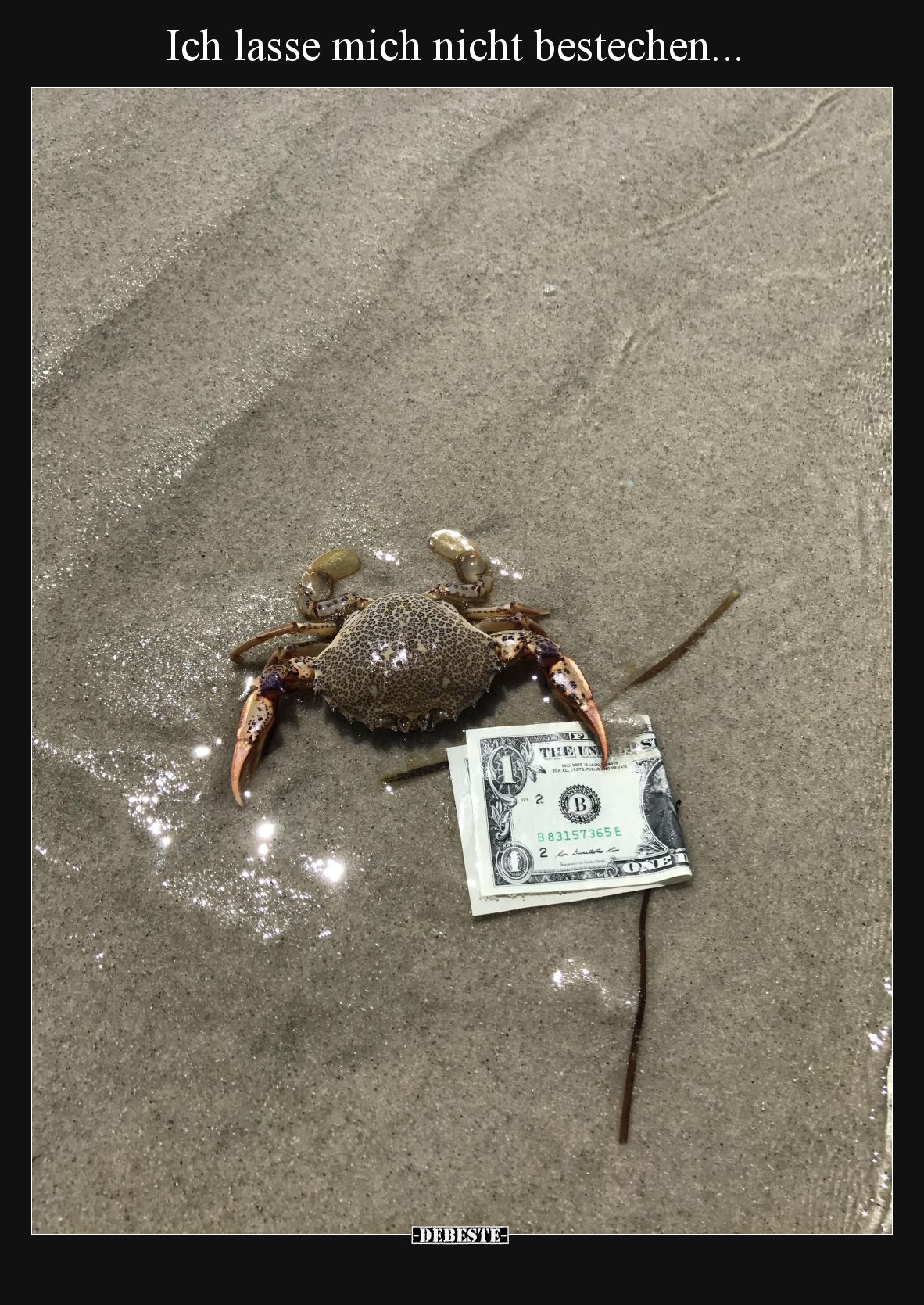 Ich lasse mich nicht bestechen...