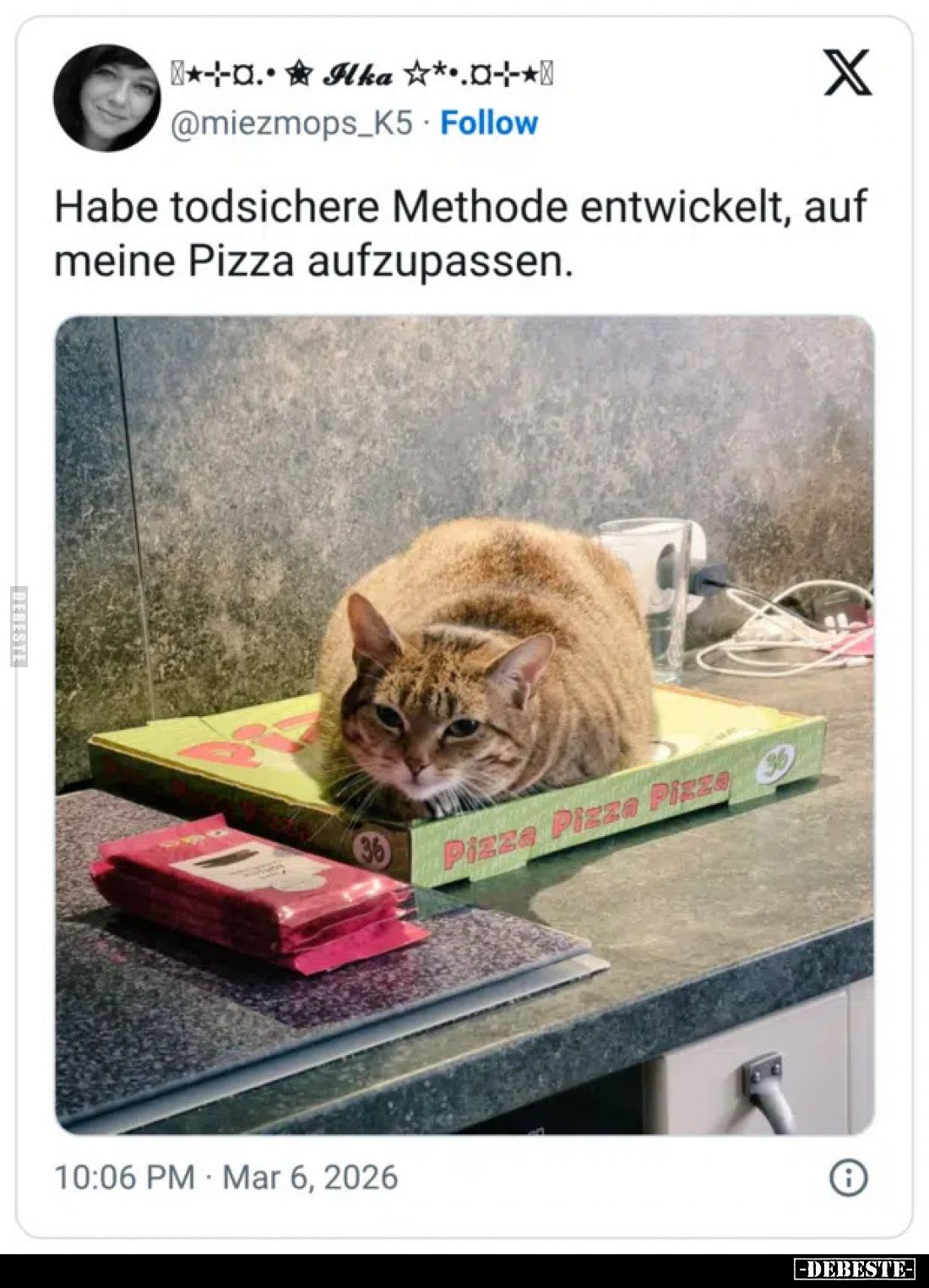 Habe todsichere Methode entwickelt, auf meine Pizza aufzupassen.