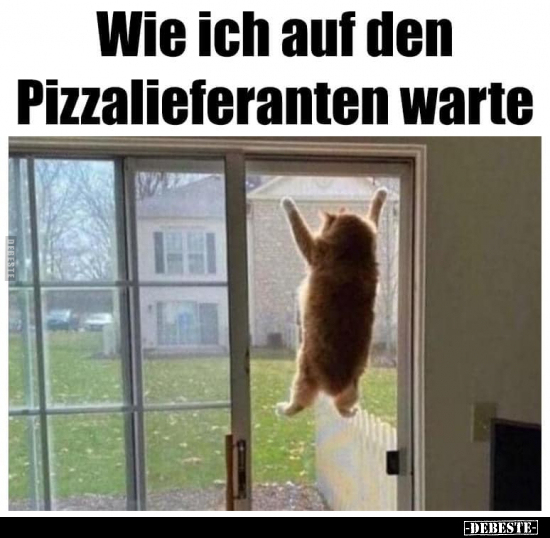 Wie ich auf den Pizzalieferanten warte.. - Lustige Bilder | DEBESTE.de