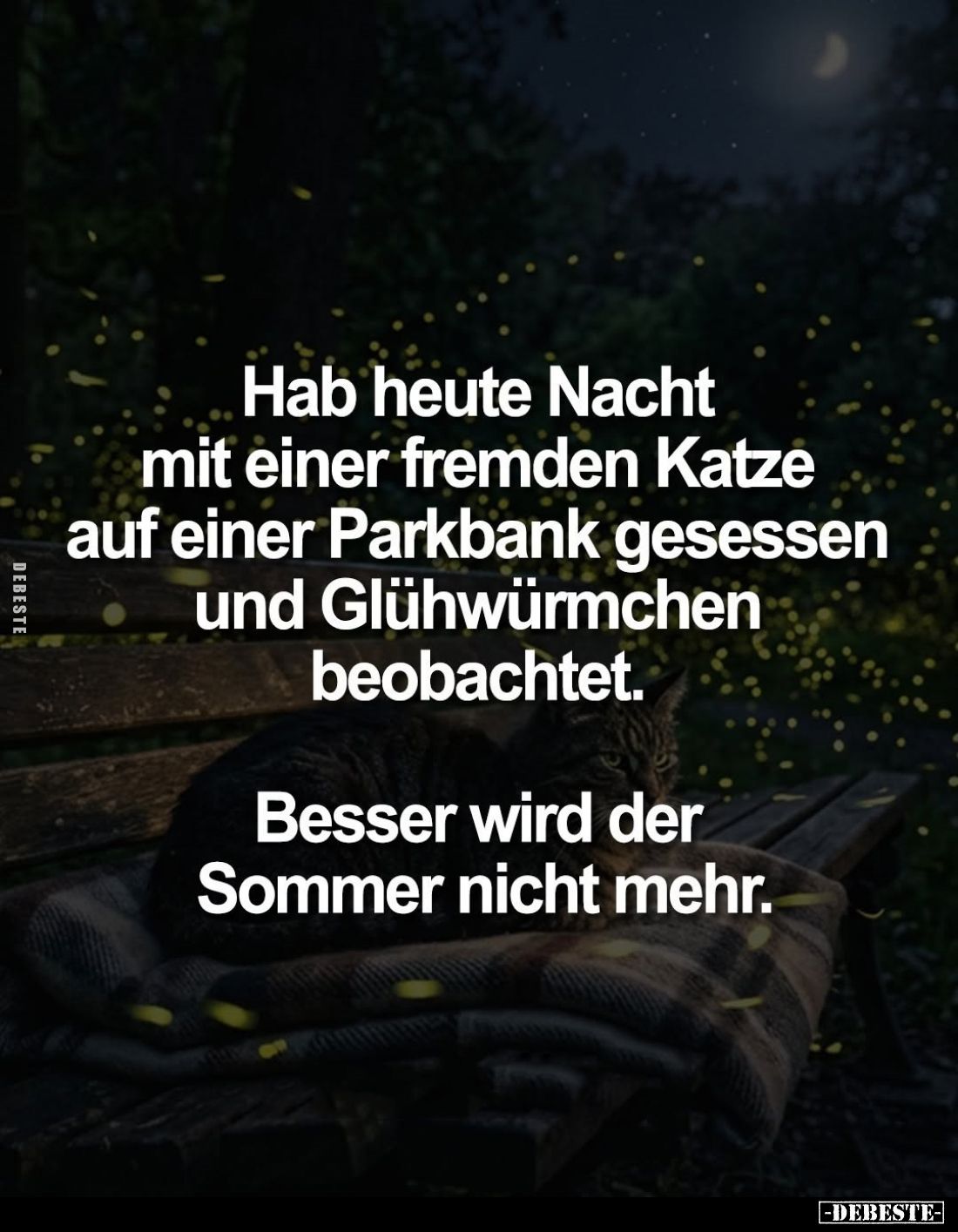 Hab heute Nacht mit einer fremden Katze auf einer Parkbank gesessen und Glühwürmchen beobachtet.
Besser wird der Sommer nich...