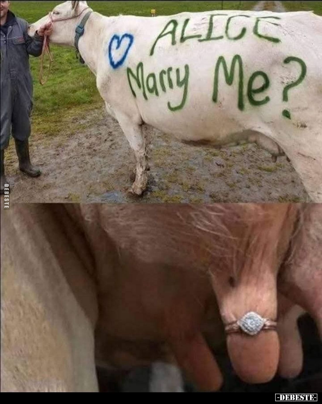 ALICE Marry Me?