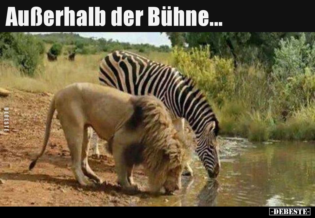 Außerhalb der Bühne...