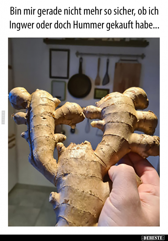 Bin mir gerade nicht mehr so sicher, ob ich Ingwer oder..