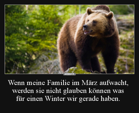 Wenn meine Familie im März aufwacht, werden sie nicht.. - Lustige Bilder | DEBESTE.de