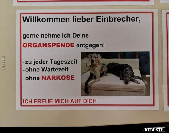 Willkommen lieber Einbrecher.. - Lustige Bilder | DEBESTE.de