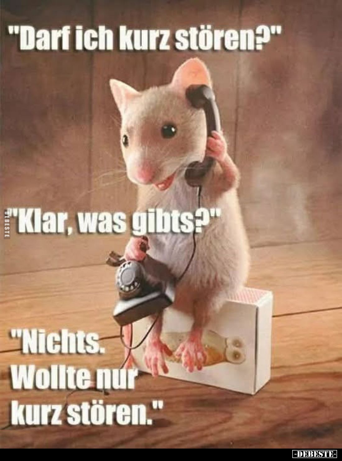 "Darf ich kurz stören?"
"Klar, was gibts?"
"Nichts. Wollte nur kurz stören."