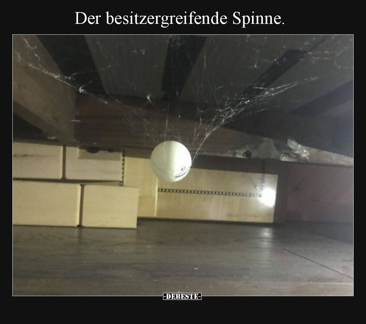 Der besitzergreifende Spinne... - Lustige Bilder | DEBESTE.de