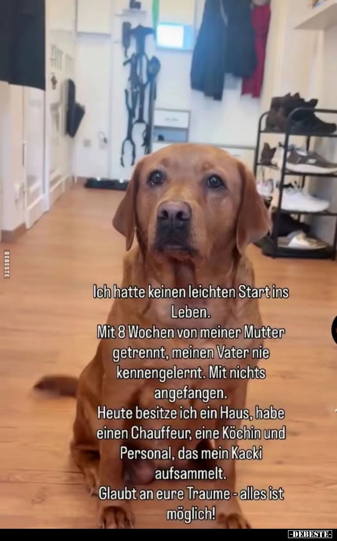 Ich hatte keinen leichten Start ins Leben.
Mit 8 Wochen von meiner Mutter getrennt, meinen Vater nie kennengelernt. Mit nich...