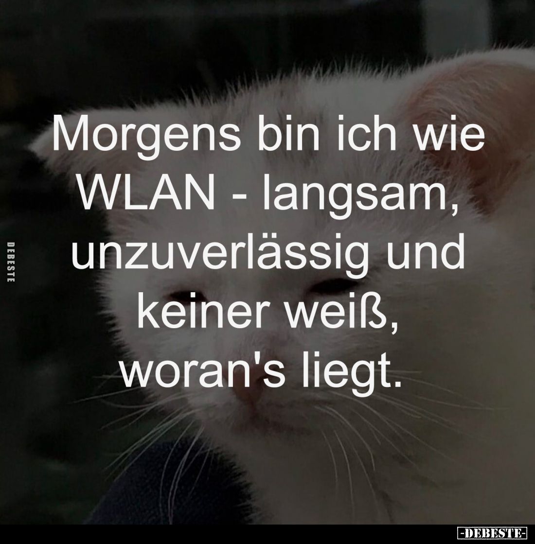 Morgens bin ich wie
WLAN - langsam,
unzuverlässig und
keiner weiß,
woran's liegt.