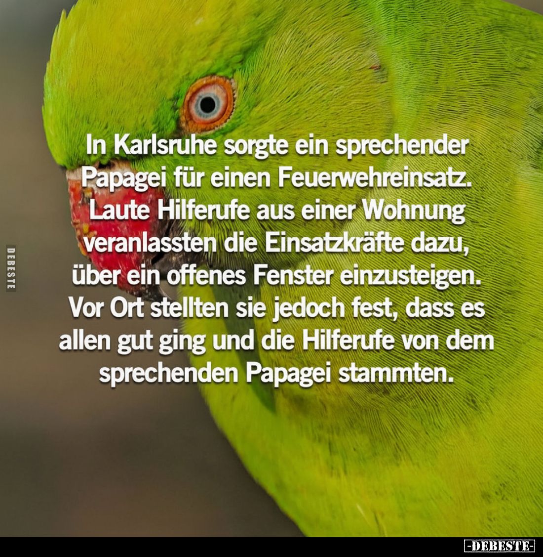 In Karlsruhe sorgte ein sprechender Papagei für einen Feuerwehreinsatz.
Laute Hilferufe aus einer Wohnung veranlassten die E...