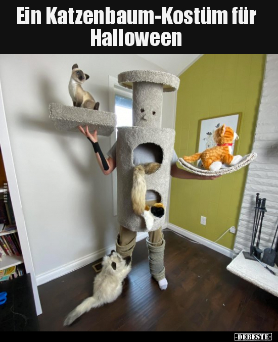 Ein Katzenbaum-Kostüm für Halloween.. - Lustige Bilder | DEBESTE.de