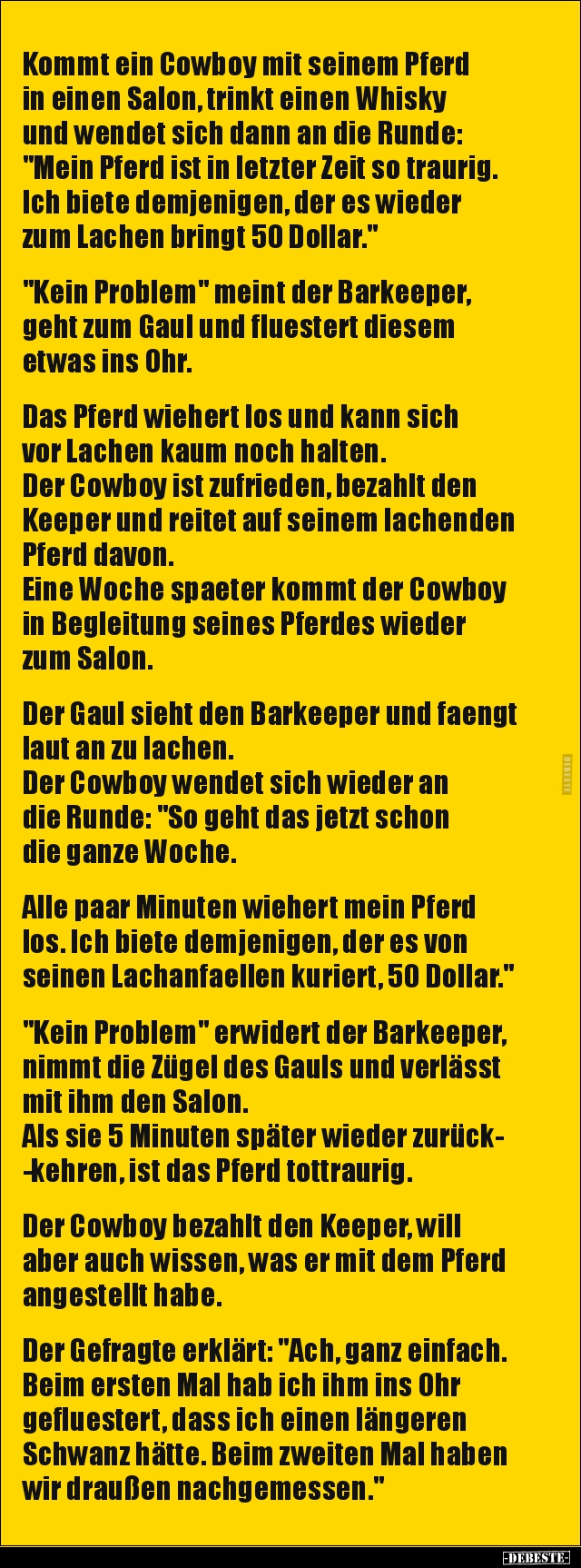 Kommt ein Cowboy mit seinem Pferd in einen Salon, trinkt.. - Lustige Bilder | DEBESTE.de