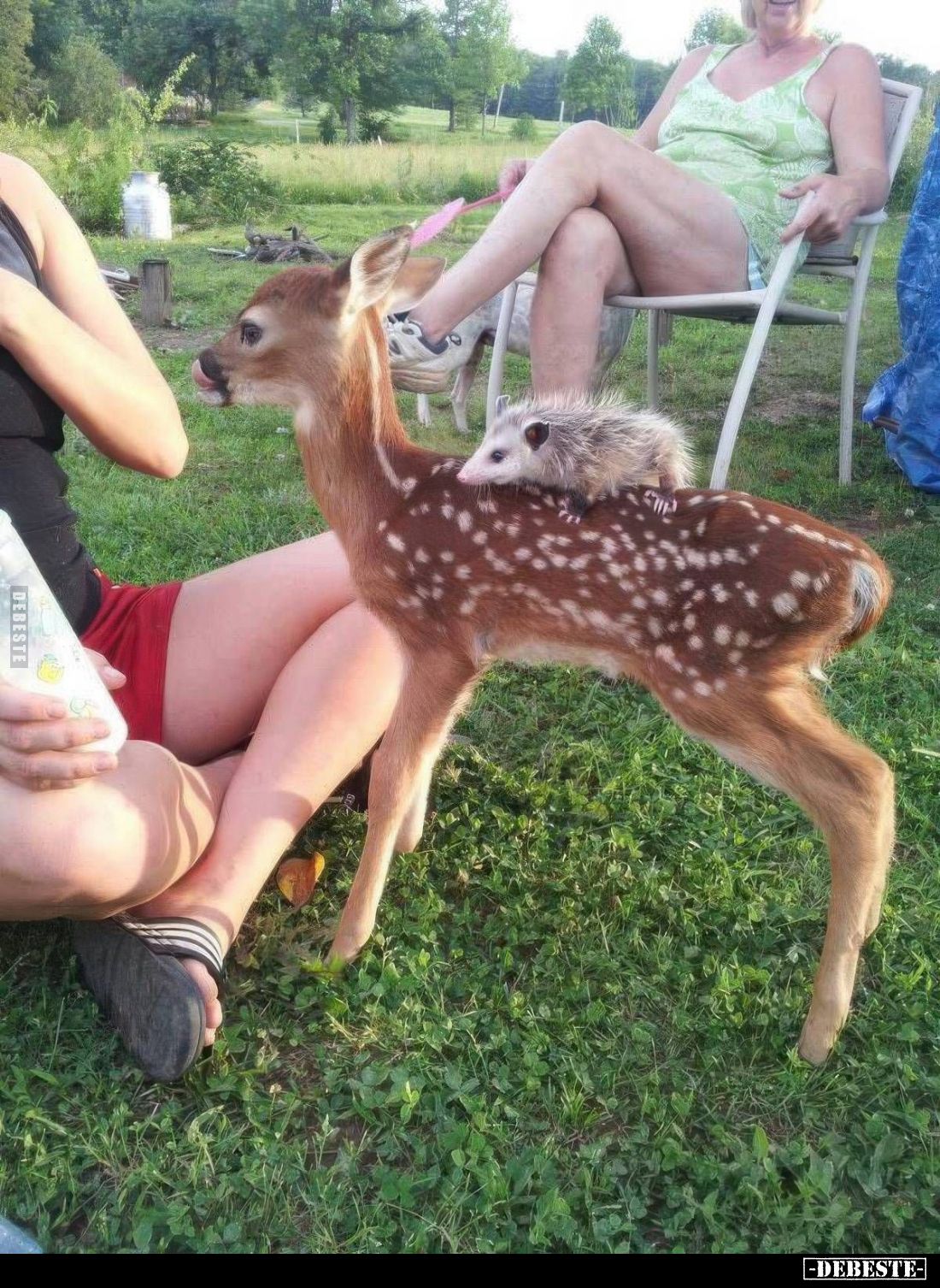  - Lustige Bilder | DEBESTE.de