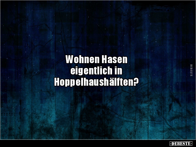 Wohnen Hasen eigentlich in Hoppelhaushälften?.. - Lustige Bilder | DEBESTE.de