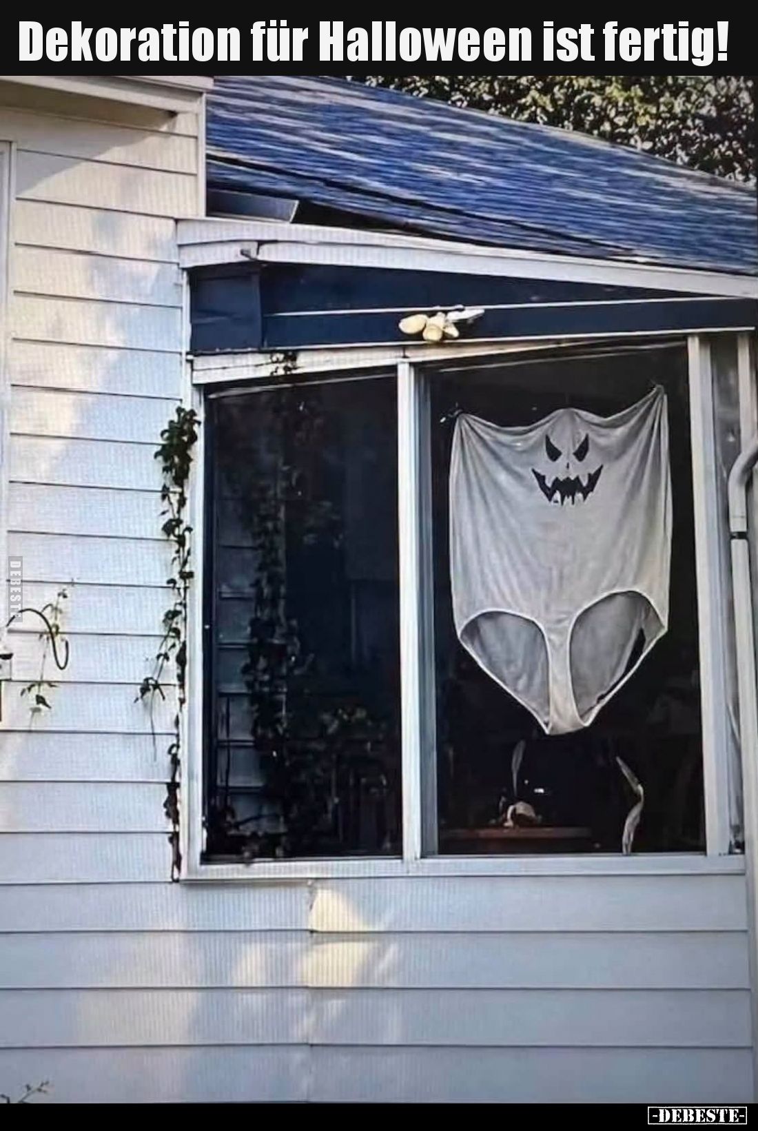 Dekoration für Halloween ist fertig!