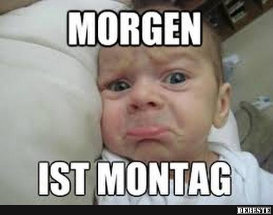 Morgen ist Montag... :( - Lustige Bilder | DEBESTE.de