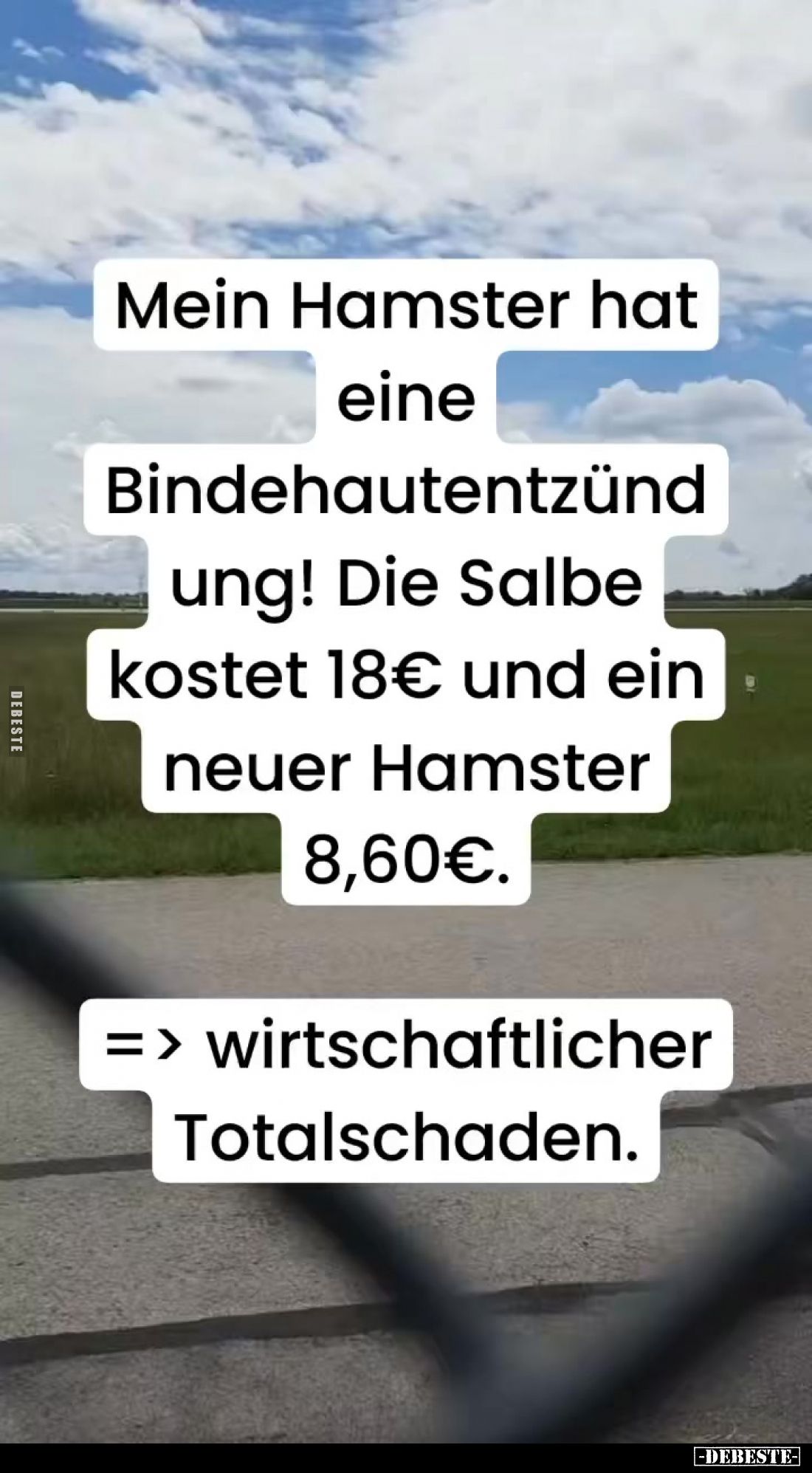 Mein Hamster hat eine Bindehautentzünd ung! Die Salbe kostet 18€ und ein neuer Hamster 8,60€.
=> wirtschaftlicher Totalsc...