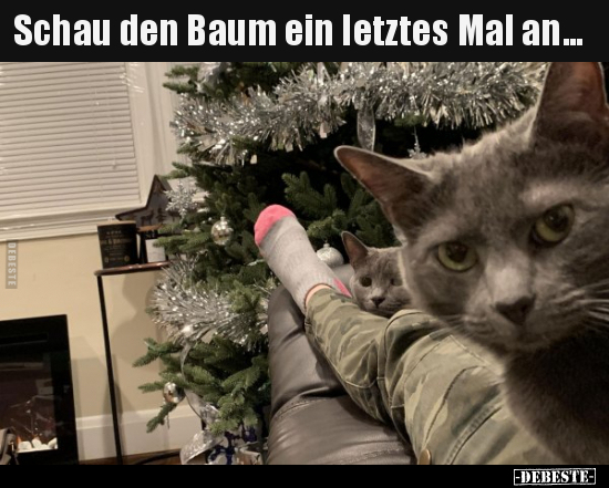 Schau den Baum ein letztes Mal an... - Lustige Bilder | DEBESTE.de