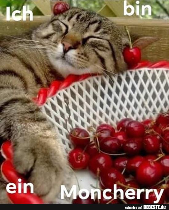 Ich bin ein Moncherry.
