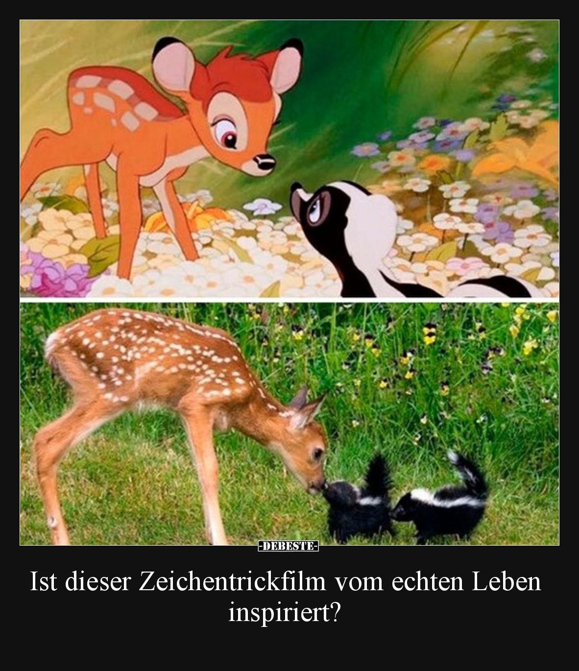 Ist dieser Zeichentrickfilm vom echten Leben inspiriert?