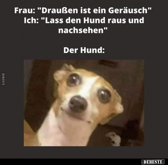 Frau: "Draußen ist ein Geräusch"... - Lustige Bilder | DEBESTE.de