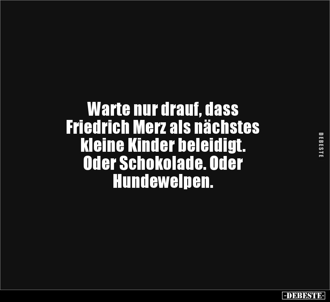 Warte nur drauf, dass 
Friedrich Merz als nächstes 
kleine Kinder beleidigt. 
Oder Schokolade. Oder 
Hundewelpen.