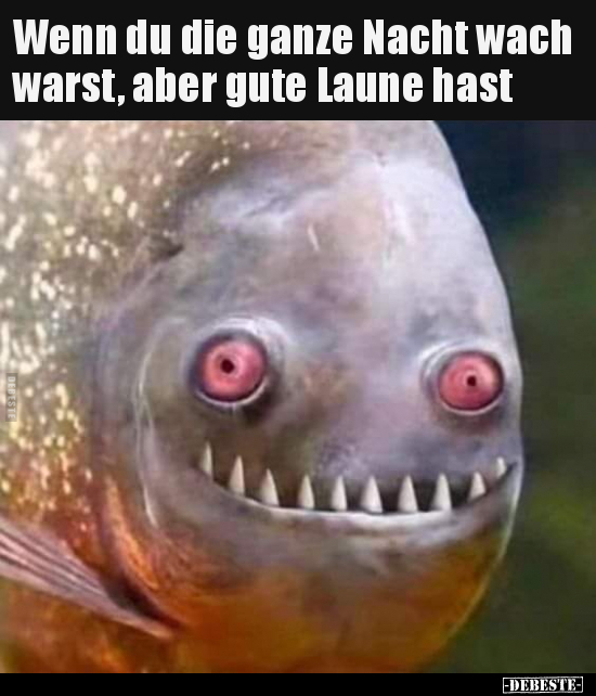 Wenn du die ganze Nacht wach warst, aber gute Laune.. - Lustige Bilder | DEBESTE.de