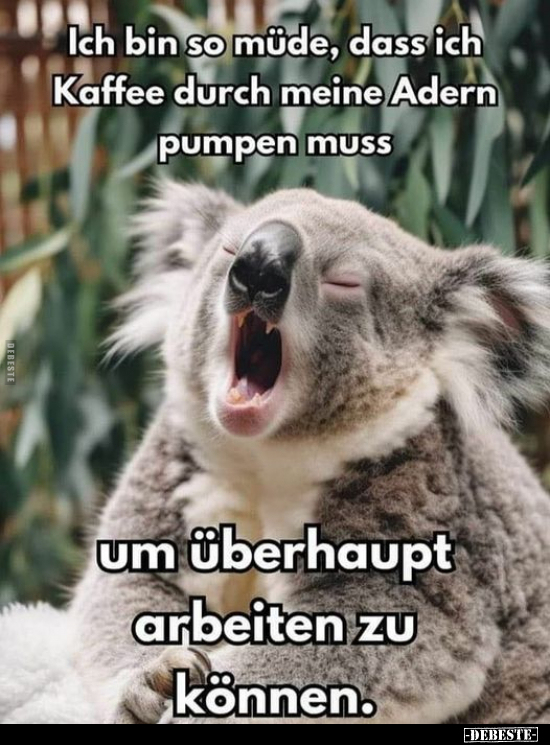 Ich bin so müde, dass ich Kaffee durch meine Adern pumpen.. - Lustige Bilder | DEBESTE.de