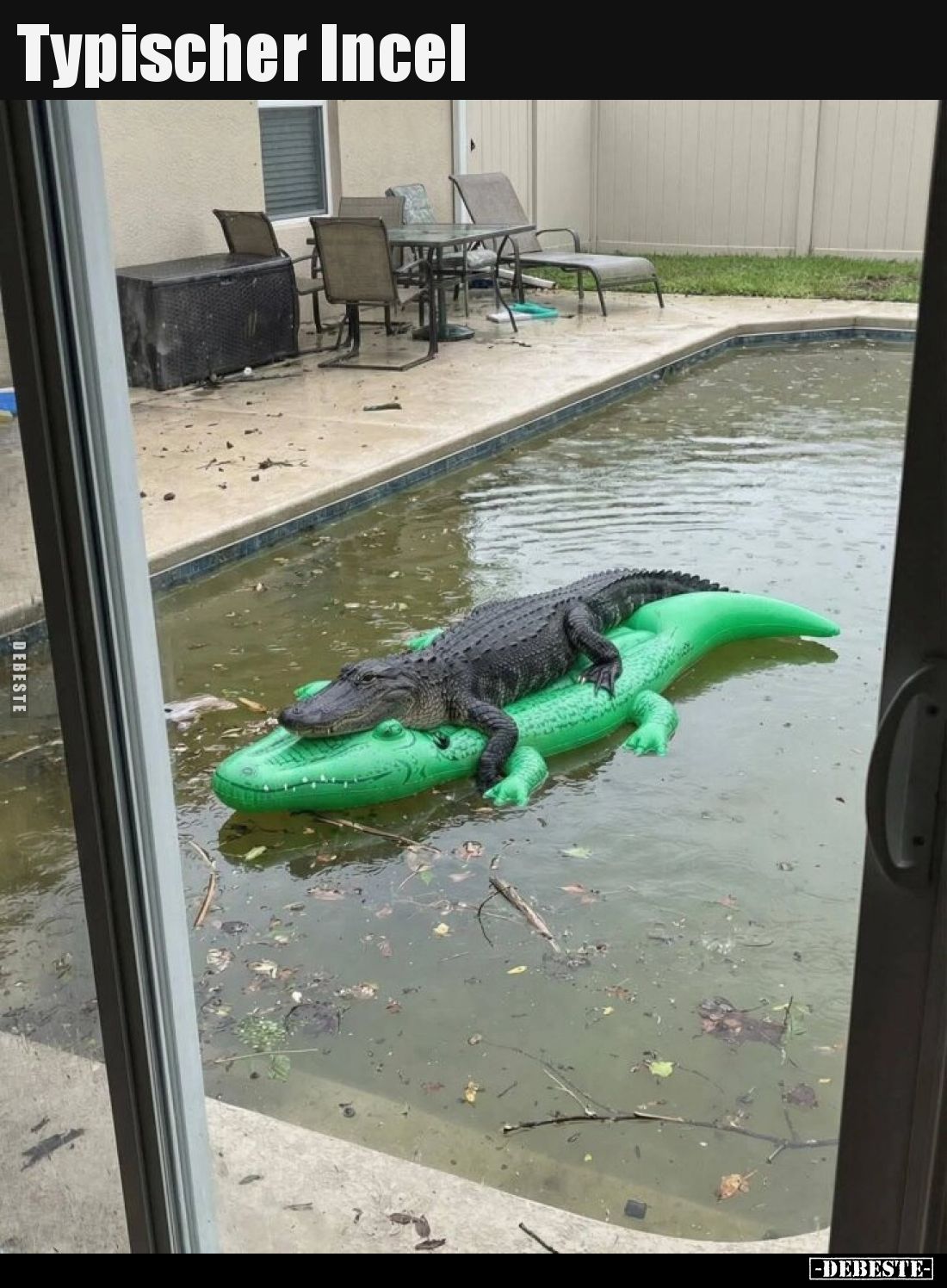 Typischer Incel.. - Lustige Bilder | DEBESTE.de