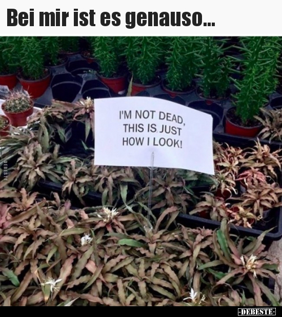 Bei mir ist es genauso