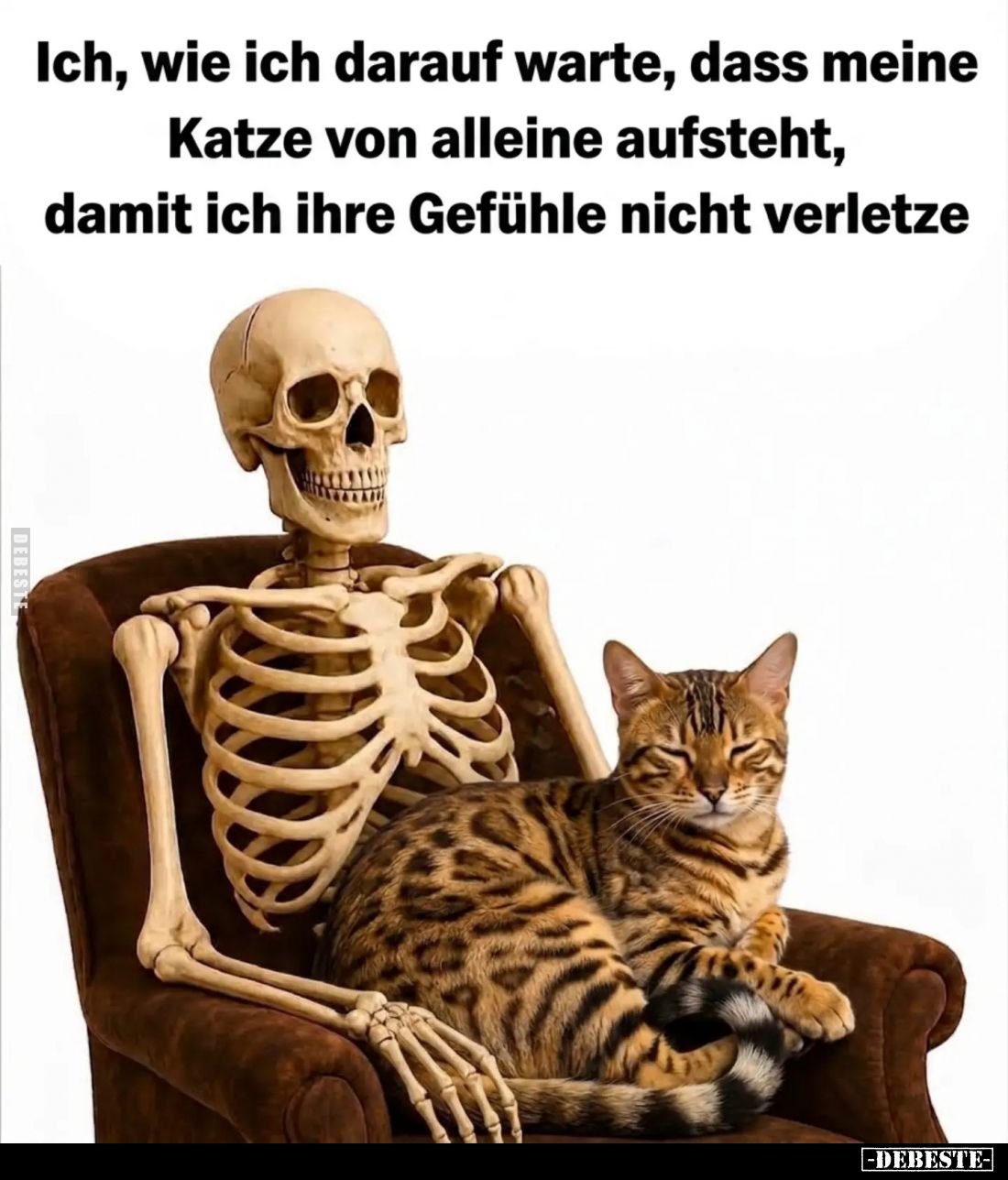Ich, wie ich darauf warte, dass meine Katze von alleine aufsteht, damit ich ihre Gefühle nicht verletze