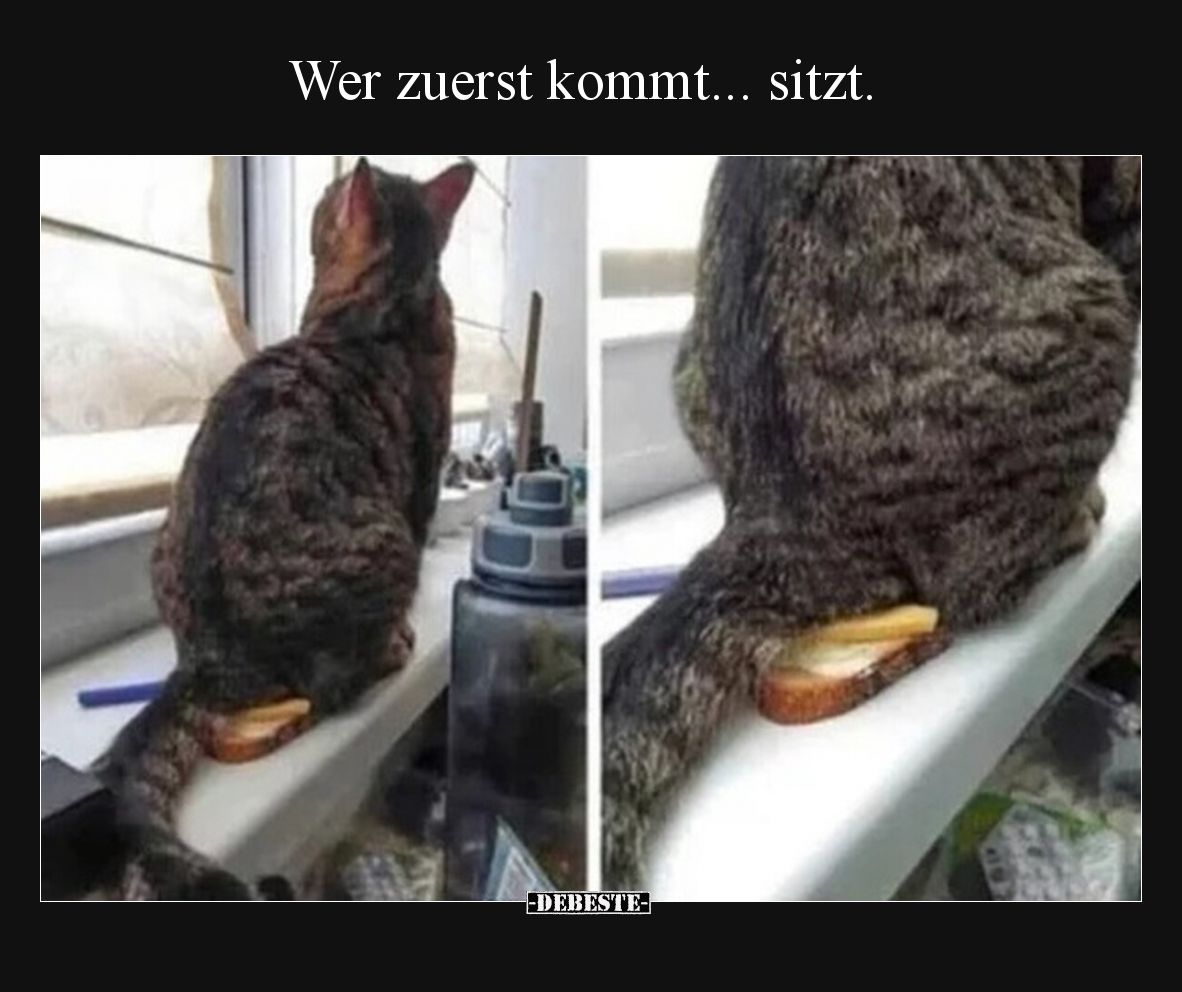 Wer zuerst kommt... sitzt... - Lustige Bilder | DEBESTE.de